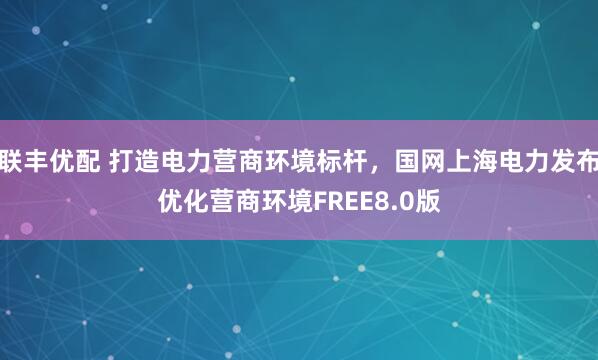 联丰优配 打造电力营商环境标杆，国网上海电力发布优化营商环境FREE8.0版