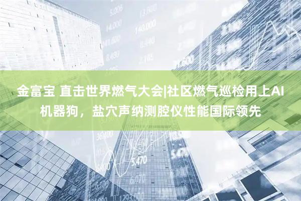 金富宝 直击世界燃气大会|社区燃气巡检用上AI机器狗，盐穴声纳测腔仪性能国际领先