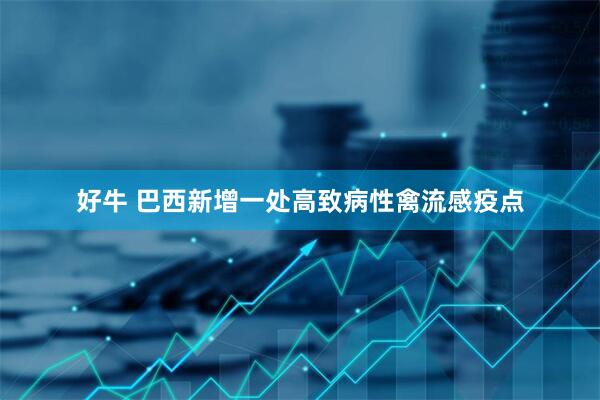 好牛 巴西新增一处高致病性禽流感疫点