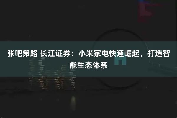 张吧策路 长江证券：小米家电快速崛起，打造智能生态体系