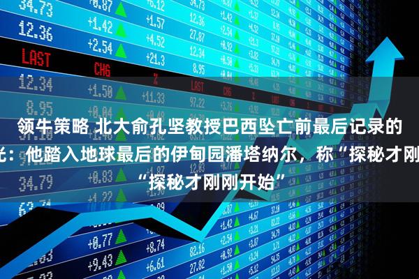 领牛策略 北大俞孔坚教授巴西坠亡前最后记录的影像曝光：他踏入地球最后的伊甸园潘塔纳尔，称“探秘才刚刚开始”