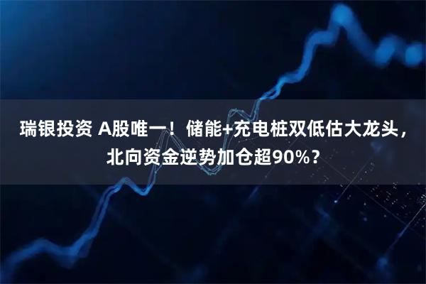 瑞银投资 A股唯一！储能+充电桩双低估大龙头，北向资金逆势加仓超90%？