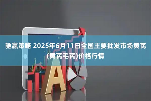 驰赢策略 2025年6月11日全国主要批发市场黄芪(黄芪毛芪)价格行情