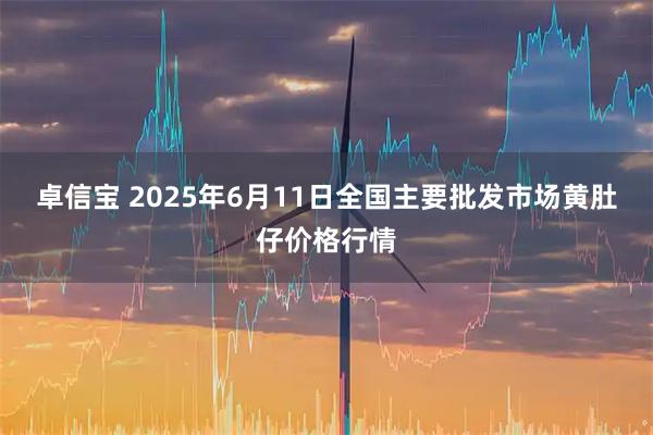 卓信宝 2025年6月11日全国主要批发市场黄肚仔价格行情