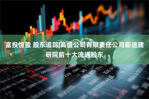 富投恒盈 股东追踪|高盛公司有限责任公司新进建研院前十大流通股东